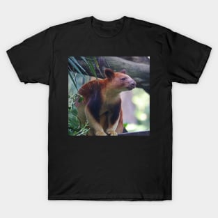 Goodfellow's Tree Kangaroo T-Shirt